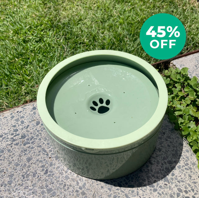 Doggo Dayz Zero Splash Dog Bowl - 1.5L