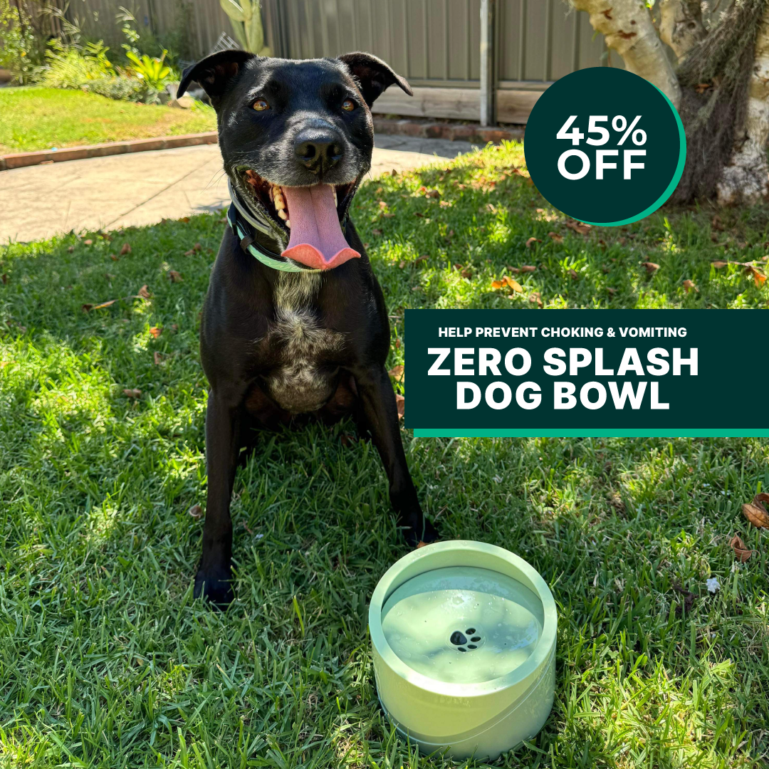 Doggo Dayz Zero Splash Dog Bowl - 1.5L